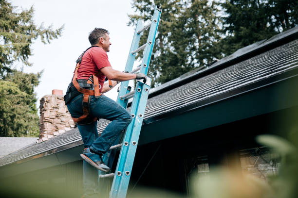 Best Roof Coating and Sealing  in Portage, PA